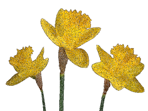 Жёлтые цветы gif
